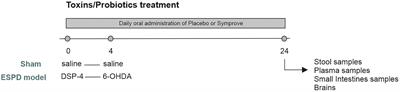 Effects of a probiotic suspension Symprove™ on a rat early-stage Parkinson’s disease model